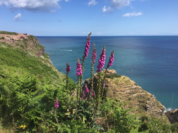 1 - France à vélo - Bretagne