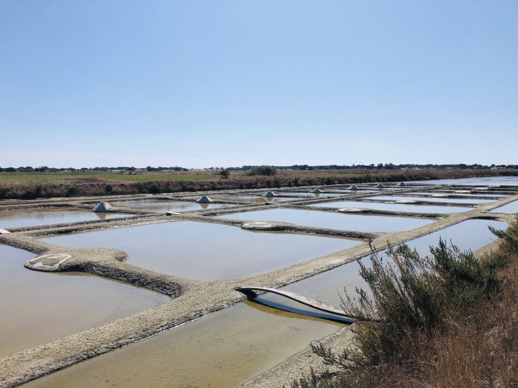 6 - Bike Tour - Loire bis zum Atlantik