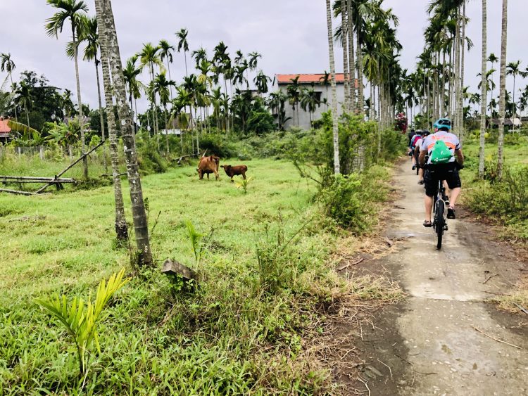 7 - Cycling break - Asia