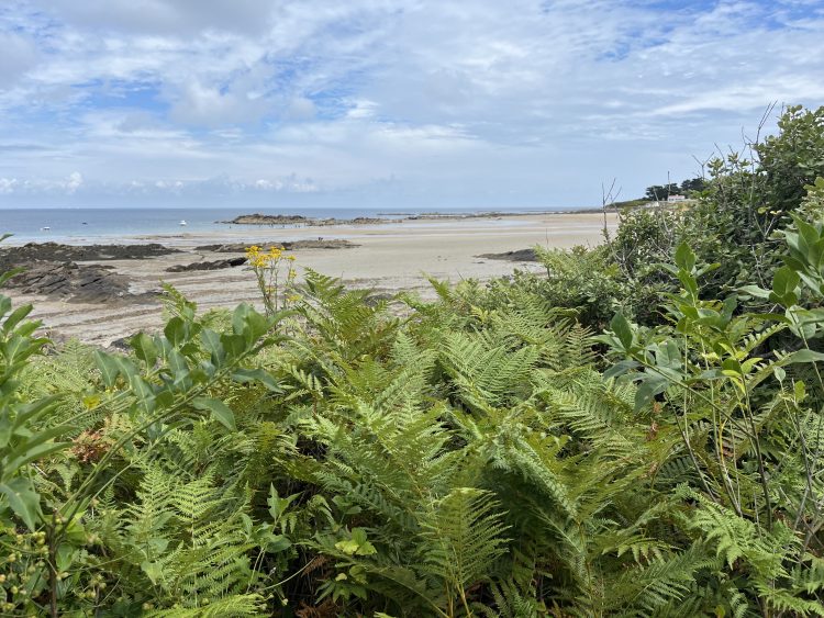 9 - Bikeurlaub - Loire bis zum Atlantik