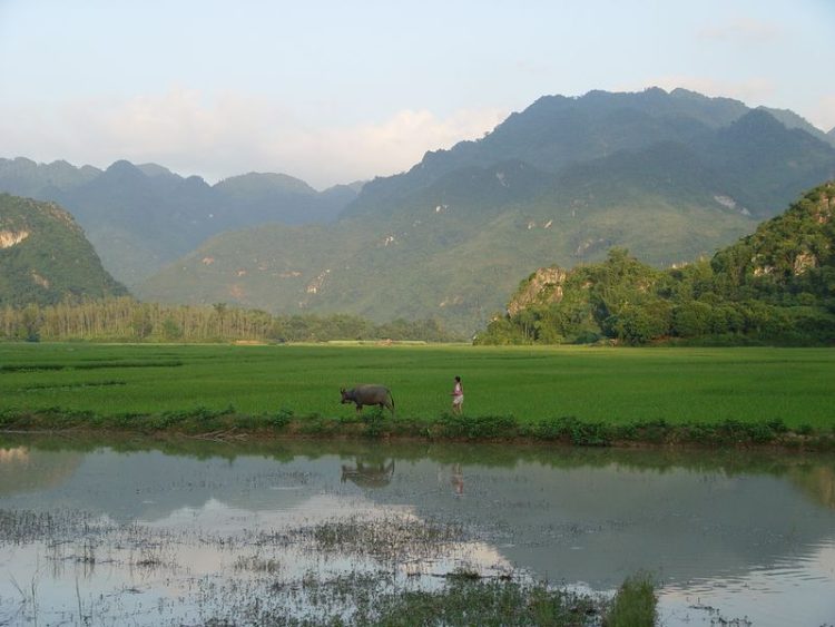 10 - Cycling break - Asia