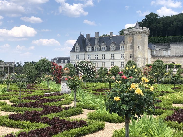 10 - Bike Tour - Loire