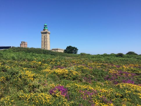 Blick auf das Kap Frehel