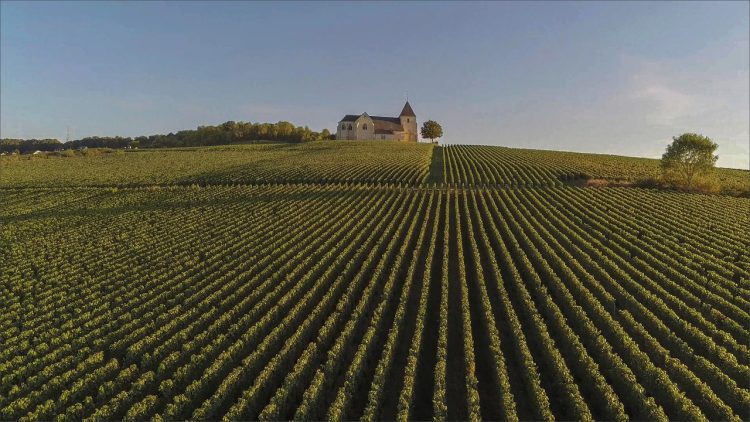 4 - Voyage à vélo - Champagne