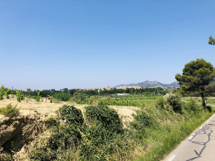 5 - Radfahren bleiben - Provence