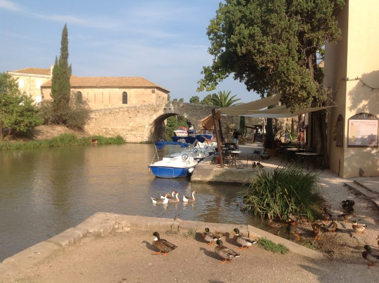 9 - Bike Tour - Languedoc-Roussillon