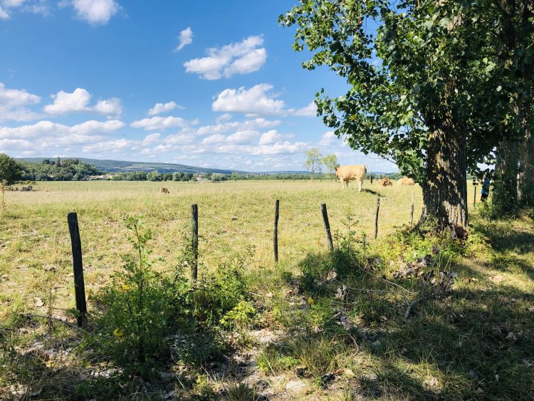 8 - France à vélo - Burgund