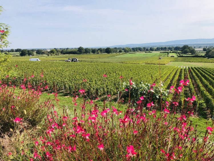 9 - Voyage à vélo - Bourgogne