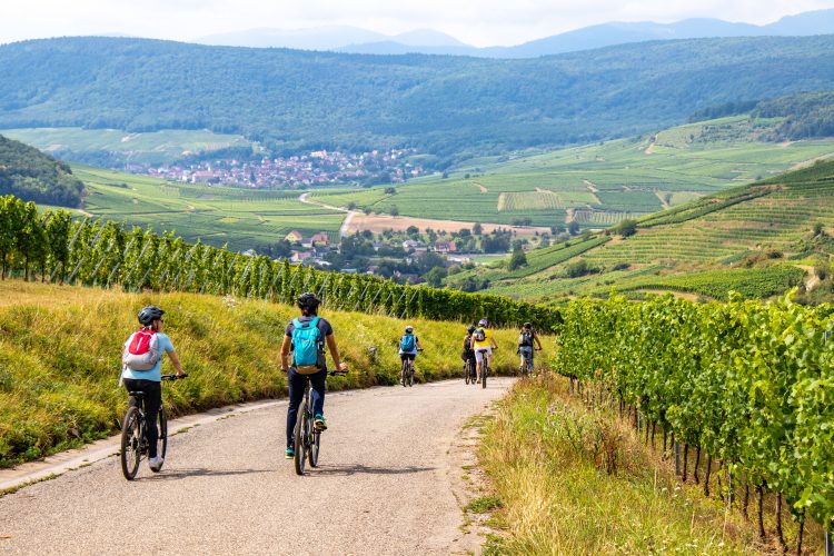 5 - Séjour à vélo - Alsace