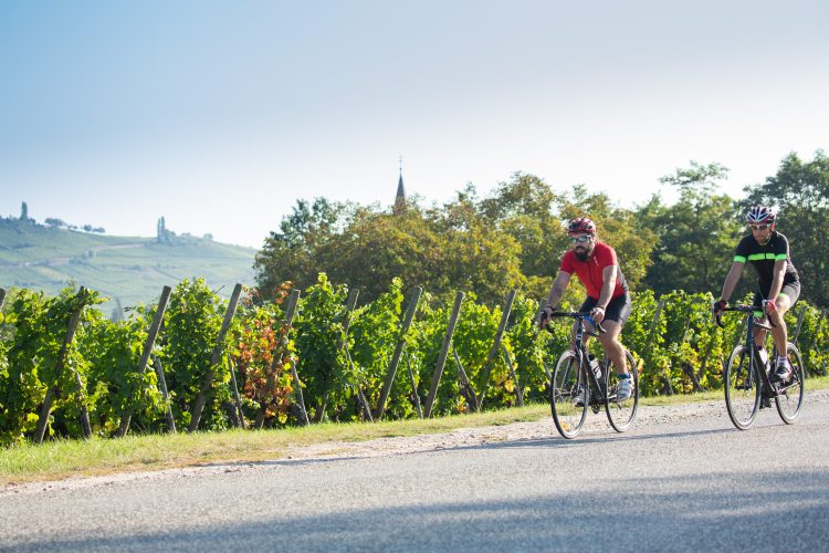 4 - Voyage à vélo - Alsace