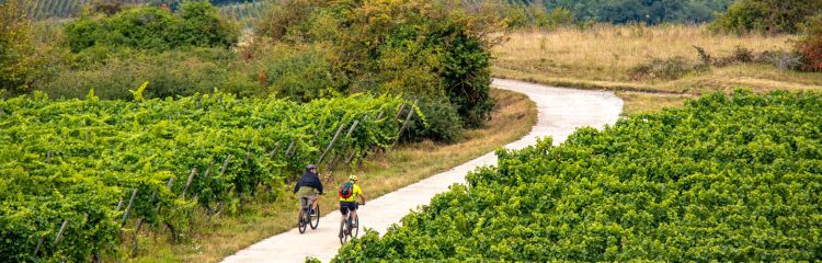 1 - Visite à vélo - Alsace