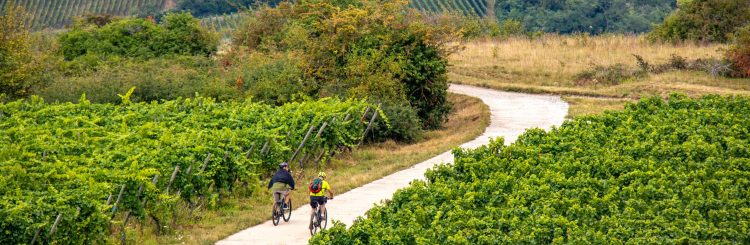 1 - Bike tour - Alsace