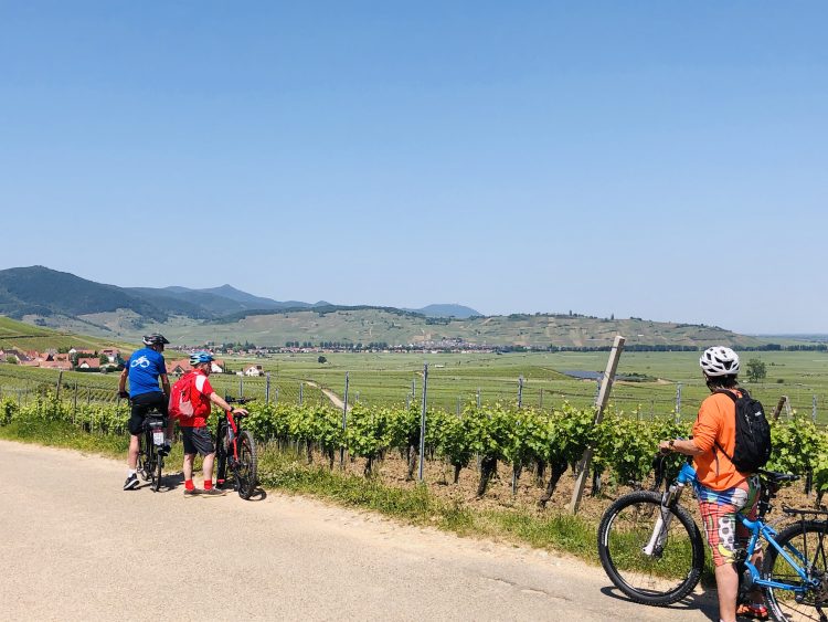 4 - France à vélo - Alsace