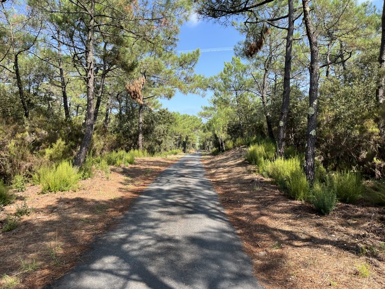 4 - Bike tour - Atlantic Coast