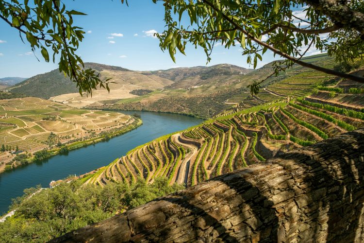 1 - Visite à vélo - Portugal