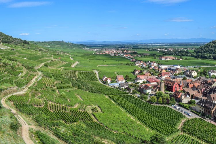 3 - Cycling break - Alsace