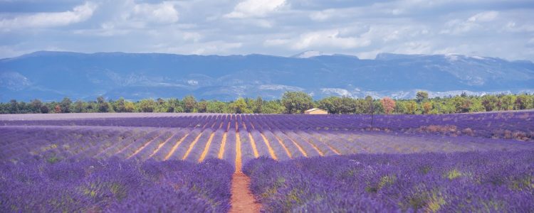 7 - France à vélo - Provence