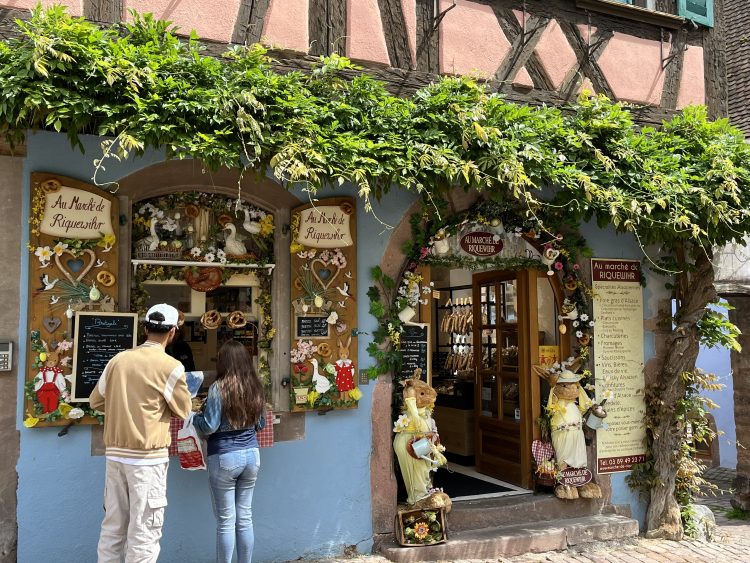 5 - Bike trip - Alsace