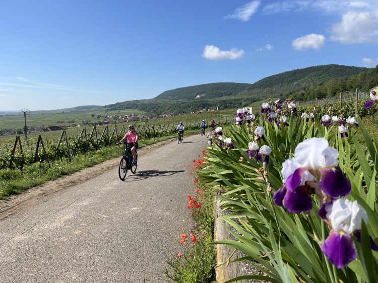 7 - Vacances à vélo - Alsace