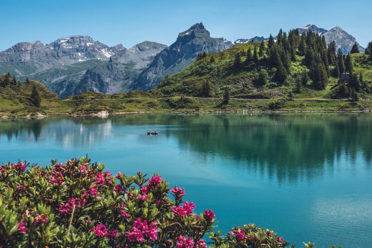 8 - Visite à vélo - Suisse